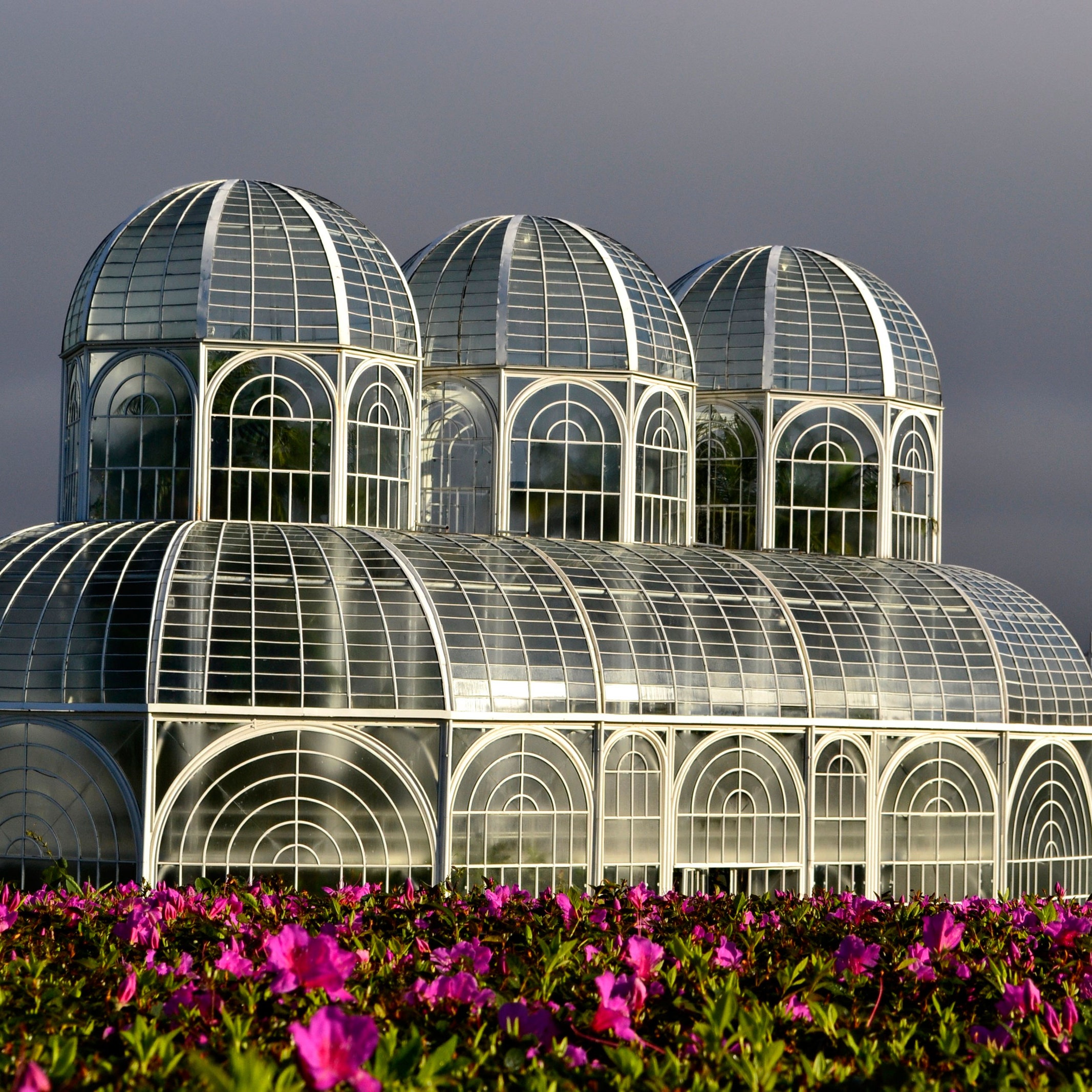The Fascinating World of Botanical Greenhouses: A Closer Look at Nature's Verdant Sanctuaries
