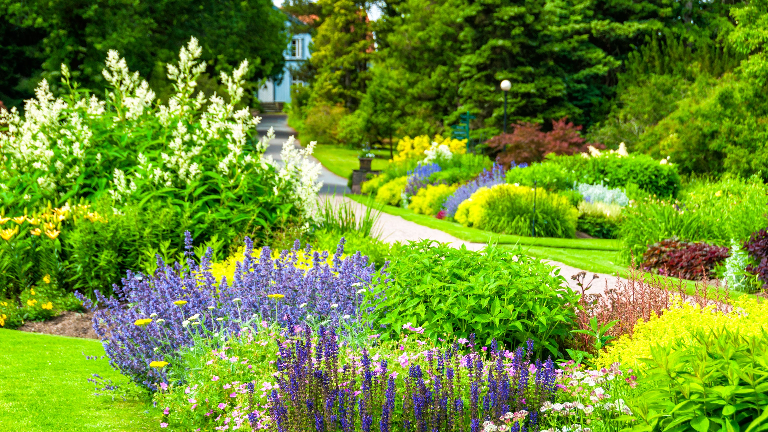 The Everlasting Beauty: A Guide to Garden Flowers that Bloom Throughout the Year