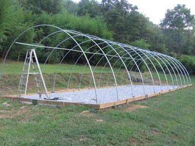 The Benefits and Beauty of Arches Greenhouse: A Natural Haven for Your Plants