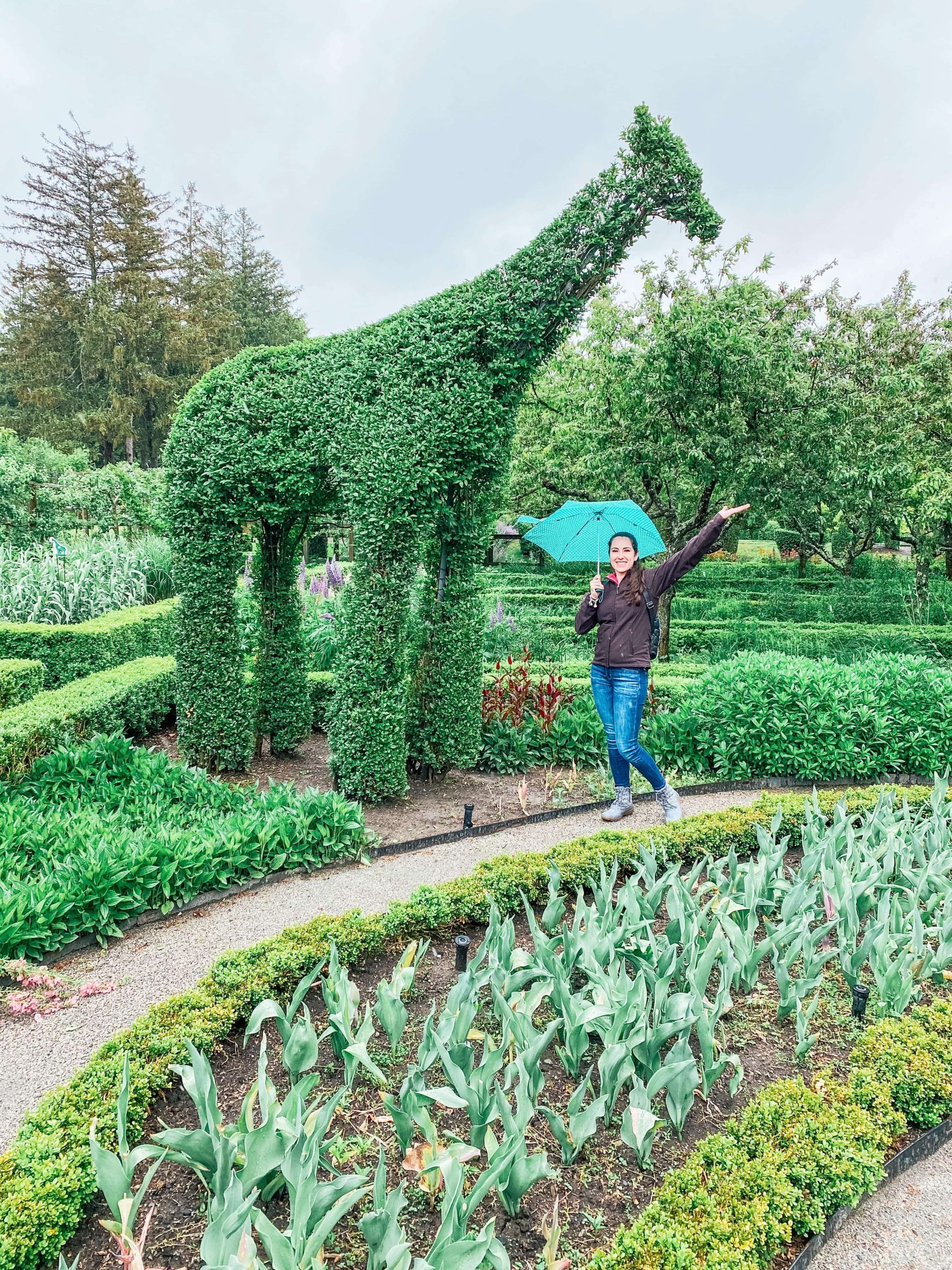 Creating Elegant Topiary Animals: A Guide to Craft Beautiful Green Art