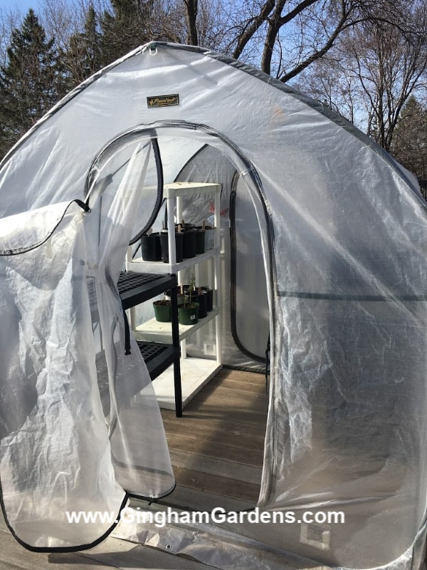 A Guide to Setting Up Your Perfect Popup Greenhouse: Tips and Tricks for Success