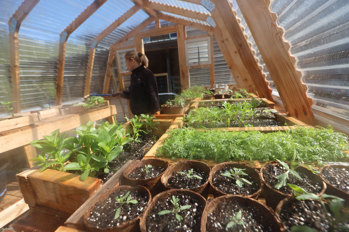 Winter Greenhouse Gardening: Maintaining an Abundant Harvest in Cooler Months
