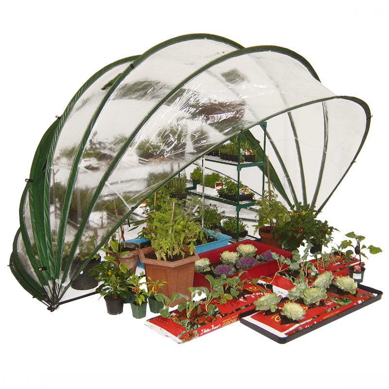 Efficient Storage and Easy Assembly: A Look into Folding Greenhouses for Green Thumb Enthusiasts