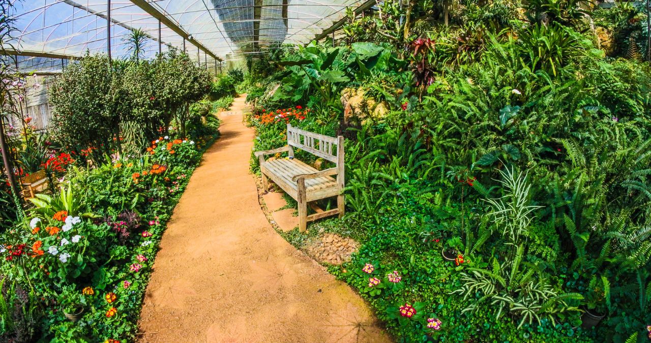 Creating a Serene Mini Botanical Haven: A Step-by-Step Guide