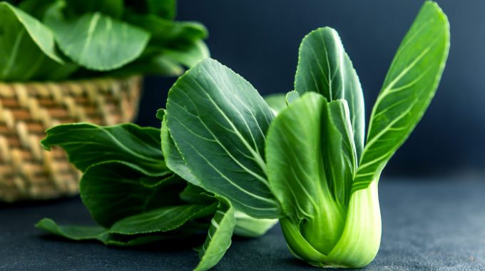 Growing Bok Choy Through Hydroponics: A Sustainable Approach to Cultivating Nutrient-rich Greens