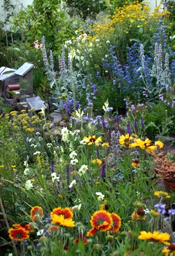 The Wonders of Organic Gardening: Cultivating Nature's Beauty in Your Backyard