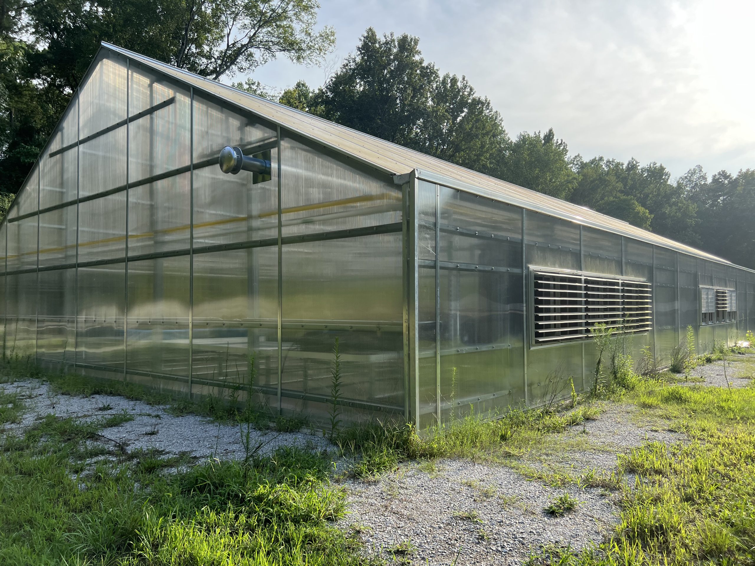 The Benefits of Investing in a Modern Greenhouse for Optimal Plant Growth