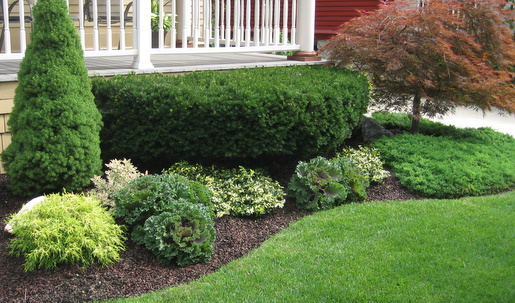 Budget-Friendly Ideas for Creating Beautiful Natural Garden Edging