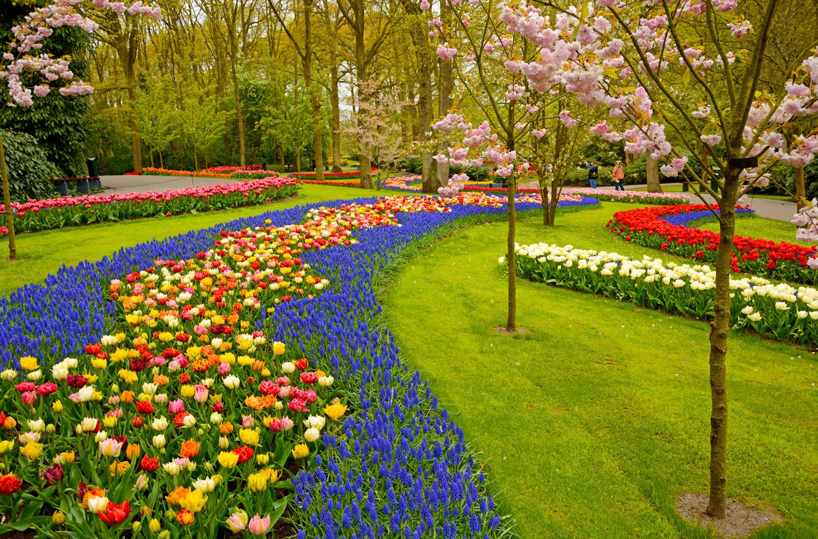 The Beauty and Serenity of Flower Gardens: A Comprehensive Guide