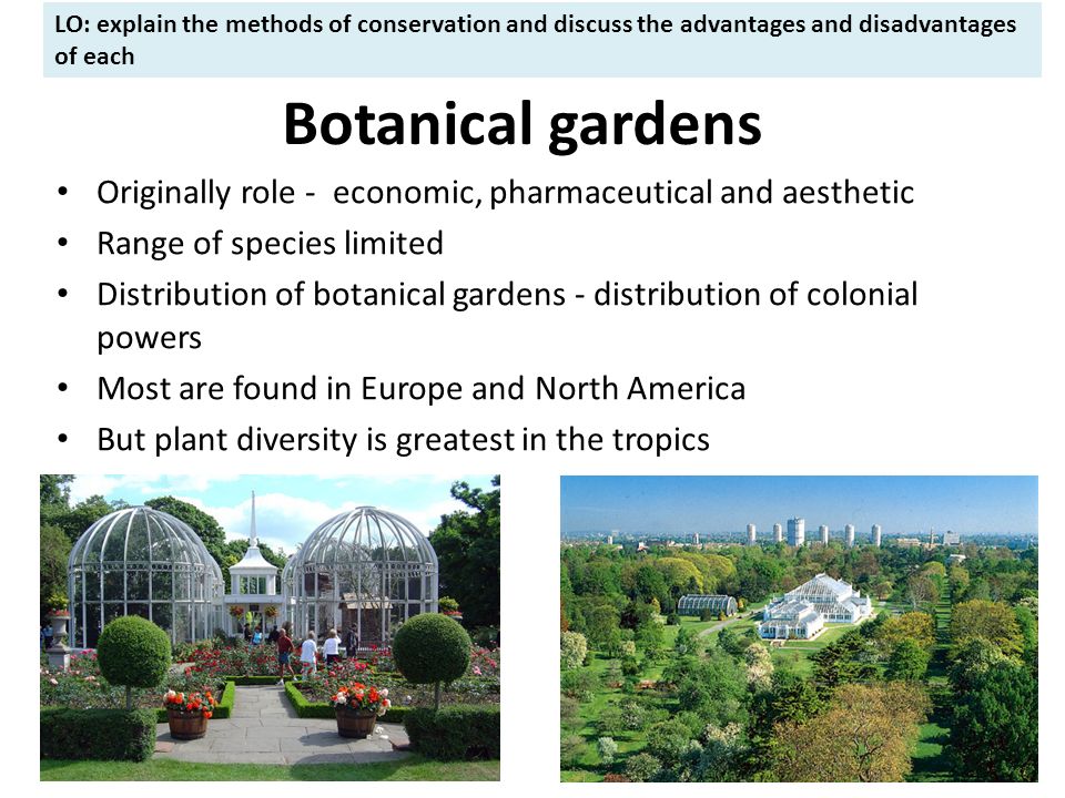 The Drawbacks of Botanical Gardens: Understanding the Challenges Faced by These Serene Sanctuaries