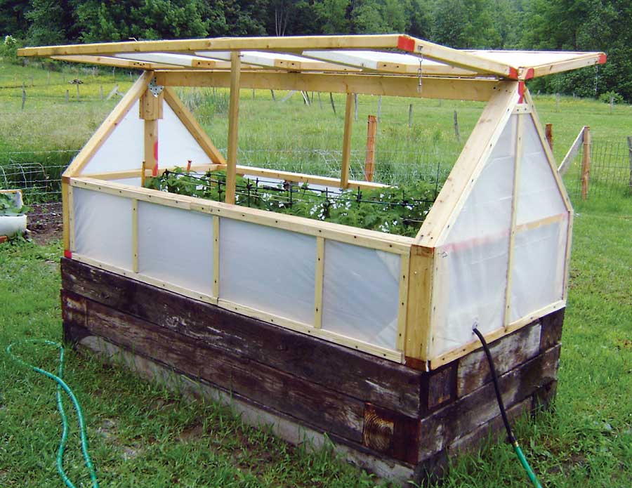 A Step-by-Step Guide to Creating Your Own Cozy Backyard Greenhouse