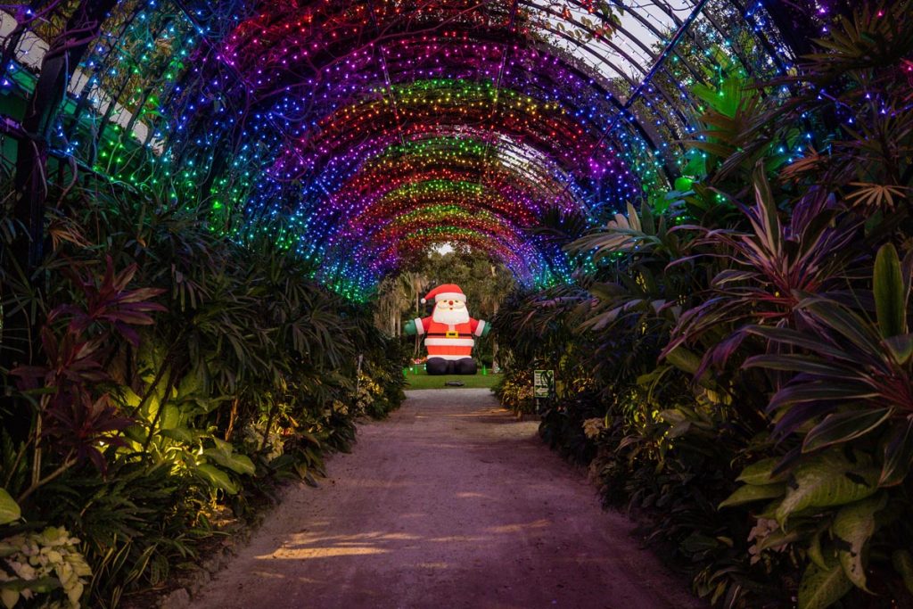 When Can You Experience the Enchanting Glow of Botanical Gardens Lights?