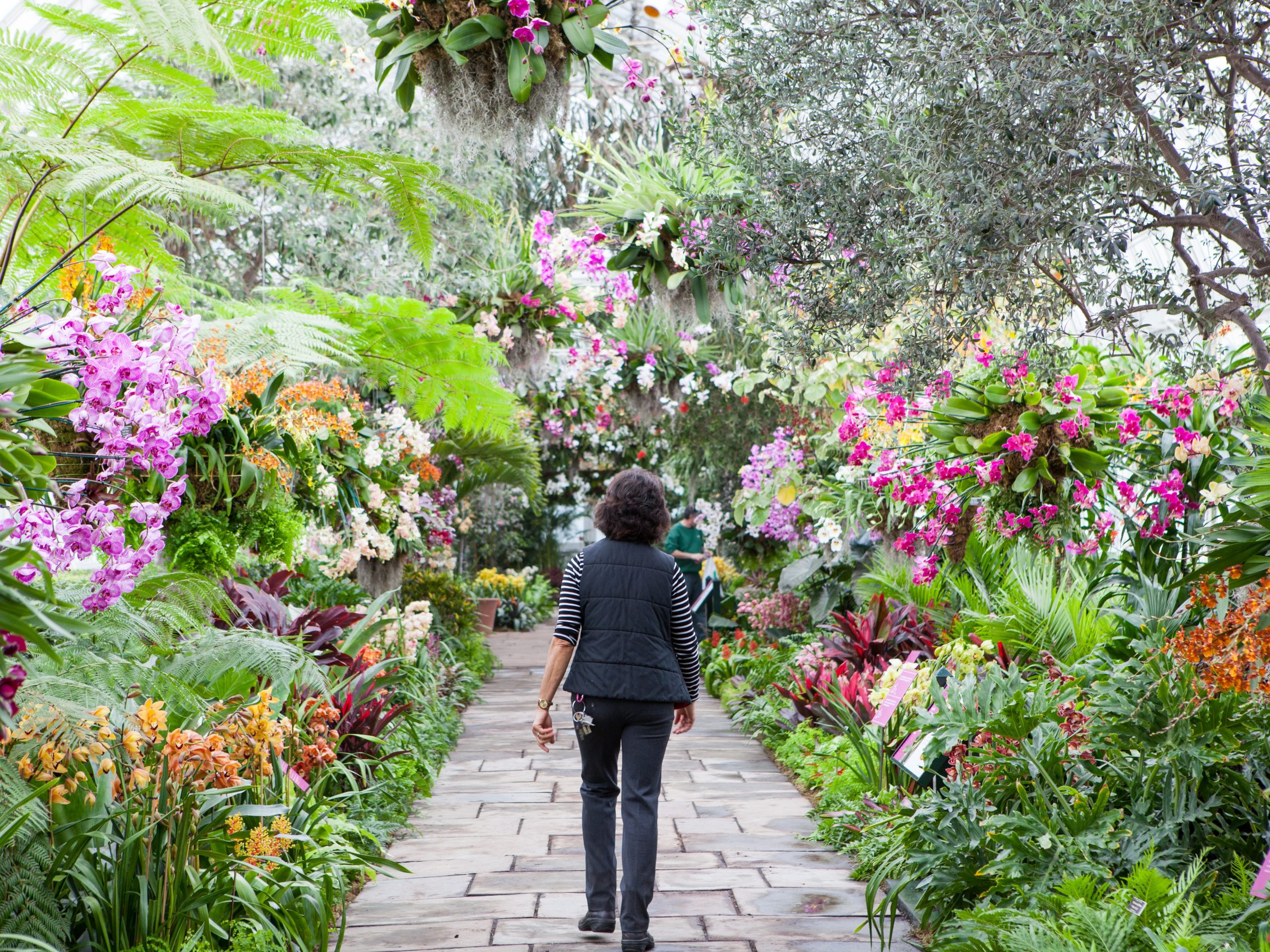 How Botanical Gardens Generate Revenue: A Look at Sustainable Funding Strategies