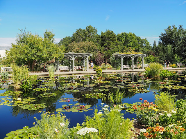 Exploring the Natural Beauty: Where to Find Botanical Gardens Near You