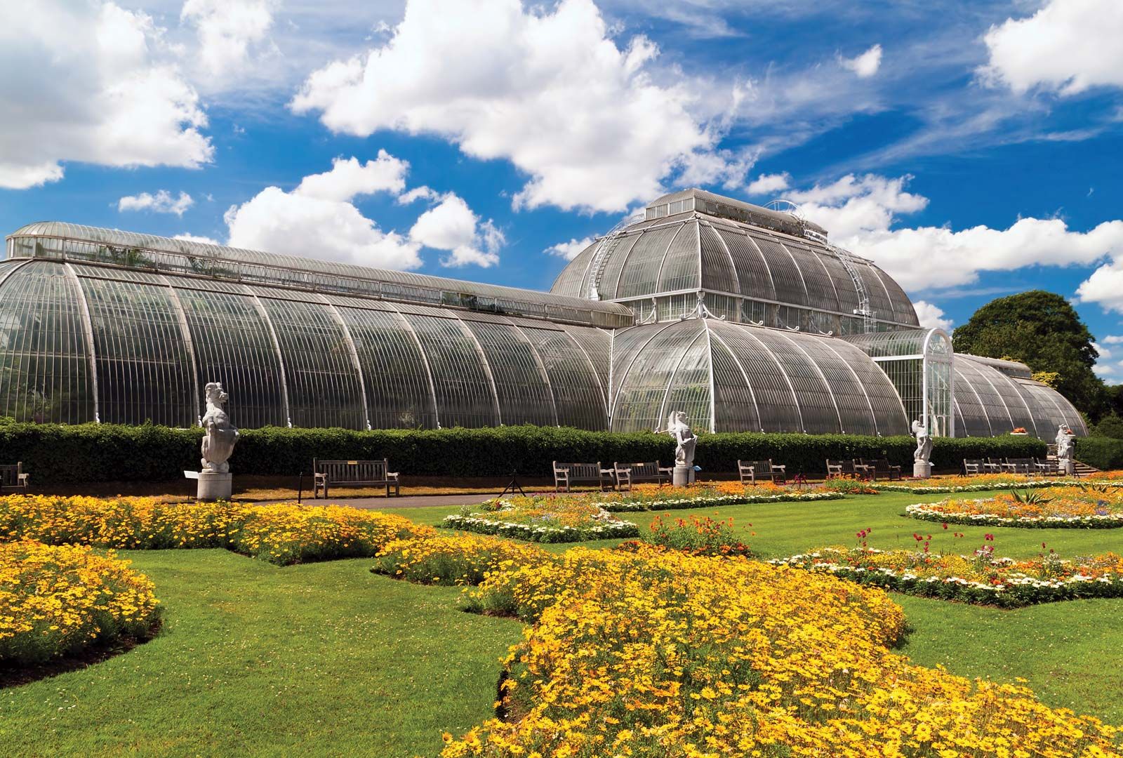 The Beauty and Significance of Botanical Gardens: Exploring Nature's Wonders