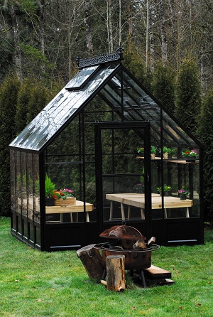 The Complete Guide to Buying a Greenhouse: What You Need to Know Before Making a Purchase