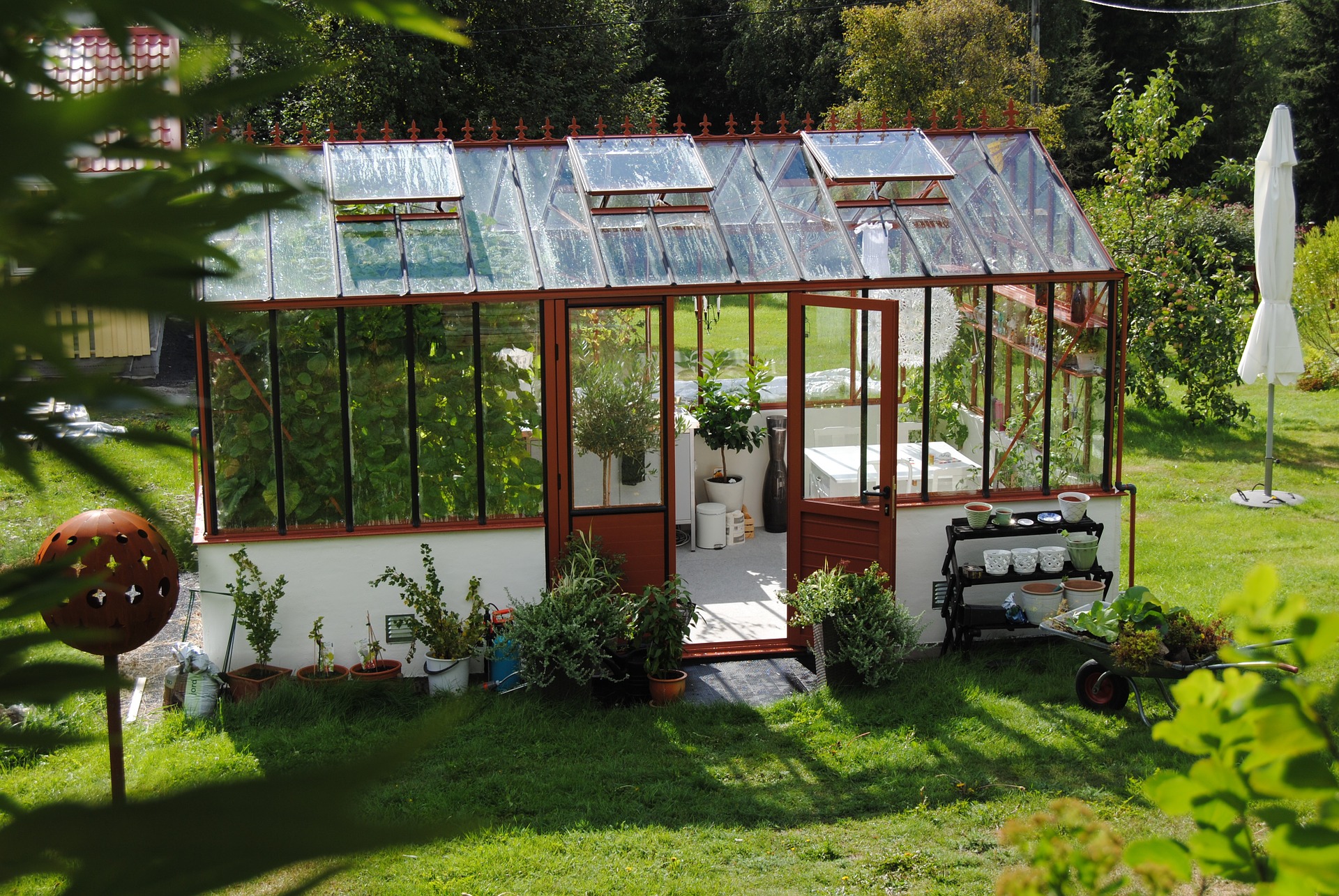 How to Set Up and Your Temporary Greenhouse for Optimal Plant Growth