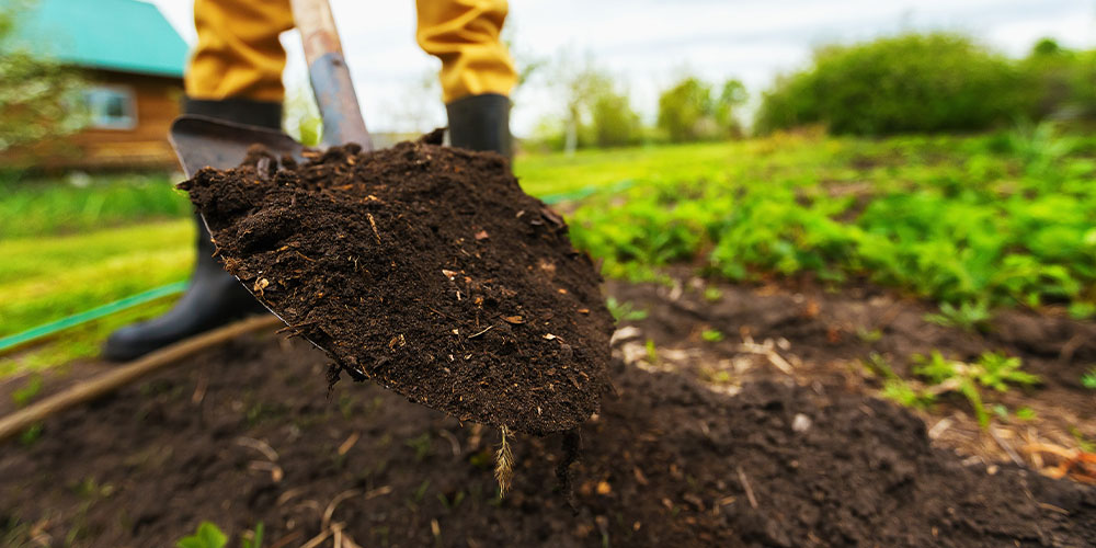 The Importance of Ground Soil and Its Impact on Plant Growth
