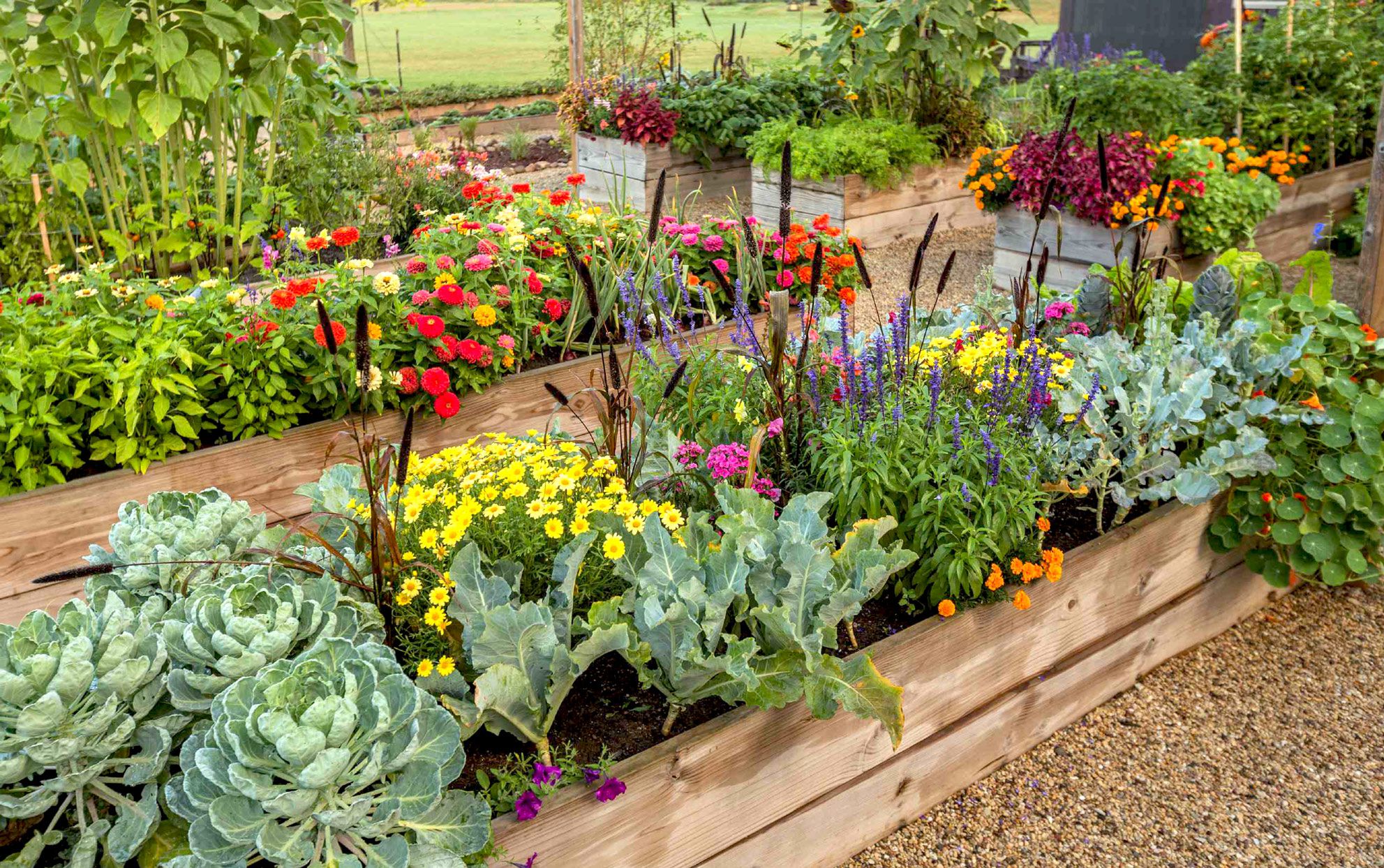 Choosing the Perfect Timing to Plant a Thriving Flower Garden