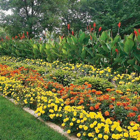 Creating a Breathtaking Flower Garden: A Step-by-Step Guide to Designing a Serene Outdoor Sanctuary
