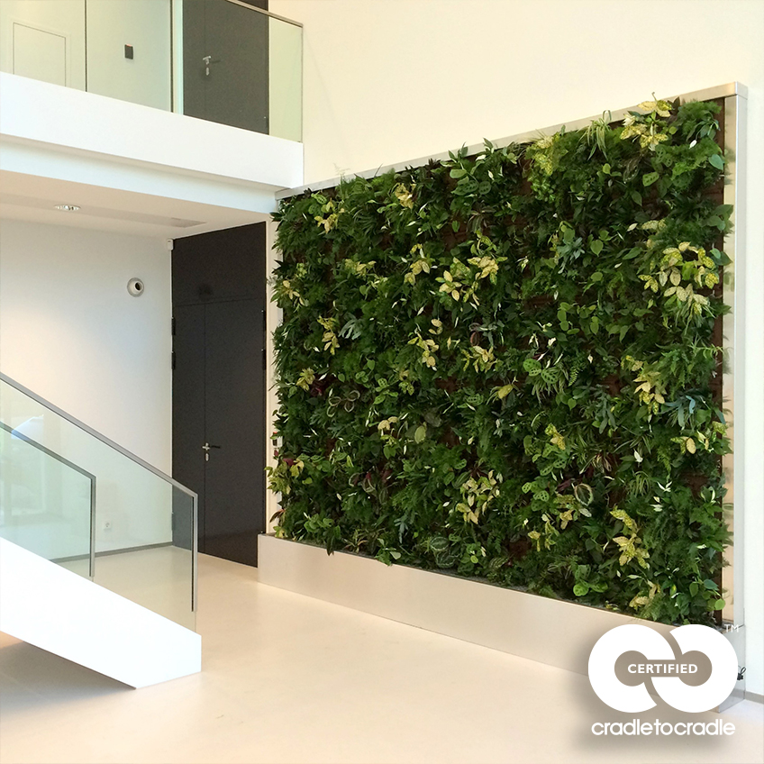 The Benefits and Beauty of Indoor Green Walls for a Sustainable Home Environment