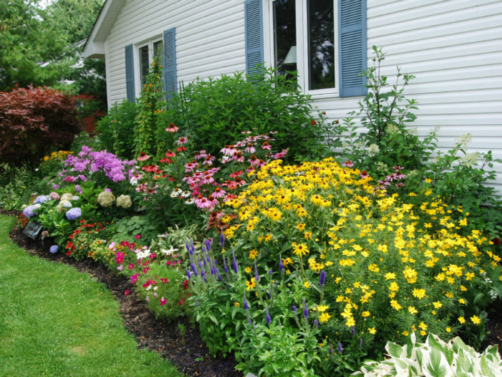 Creating a Flourishing Flower Garden: Essential Tips and Techniques for Success