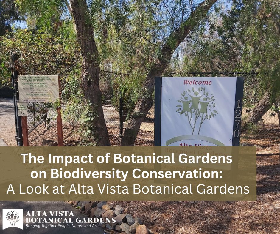 How Botanical Gardens Play a Vital Role in Conservation Efforts