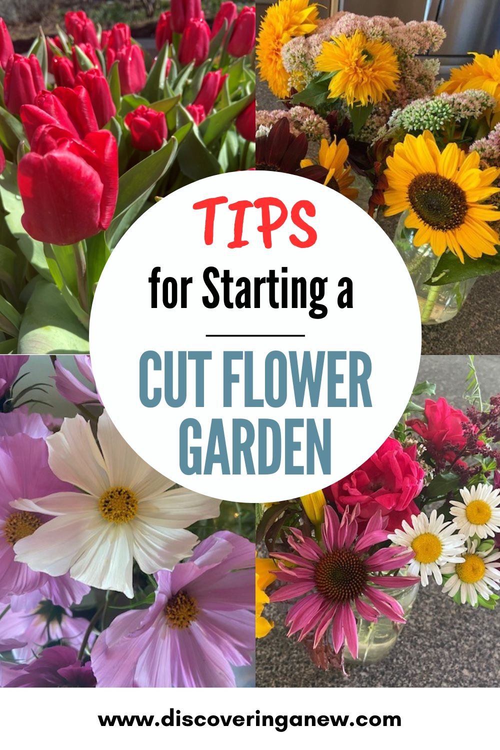 The Guide to Harvesting Garden Flowers at Their Peak Bloom