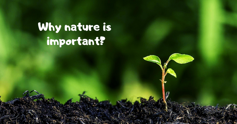 Why Nature is Vital for Our Well-being: Understanding the Importance of Our Natural Environment