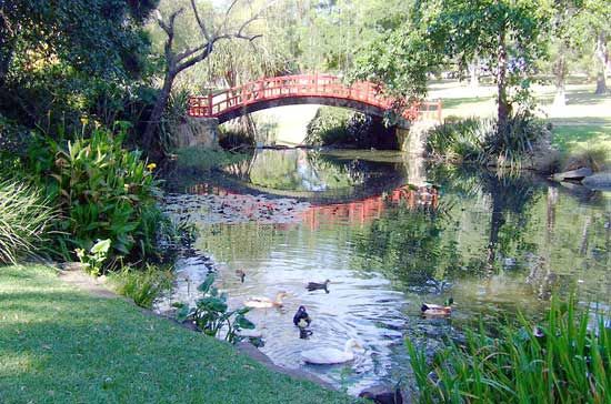 The Meaning and Magic Behind Botanic Gardens: A Green Oasis of Nature's Splendor