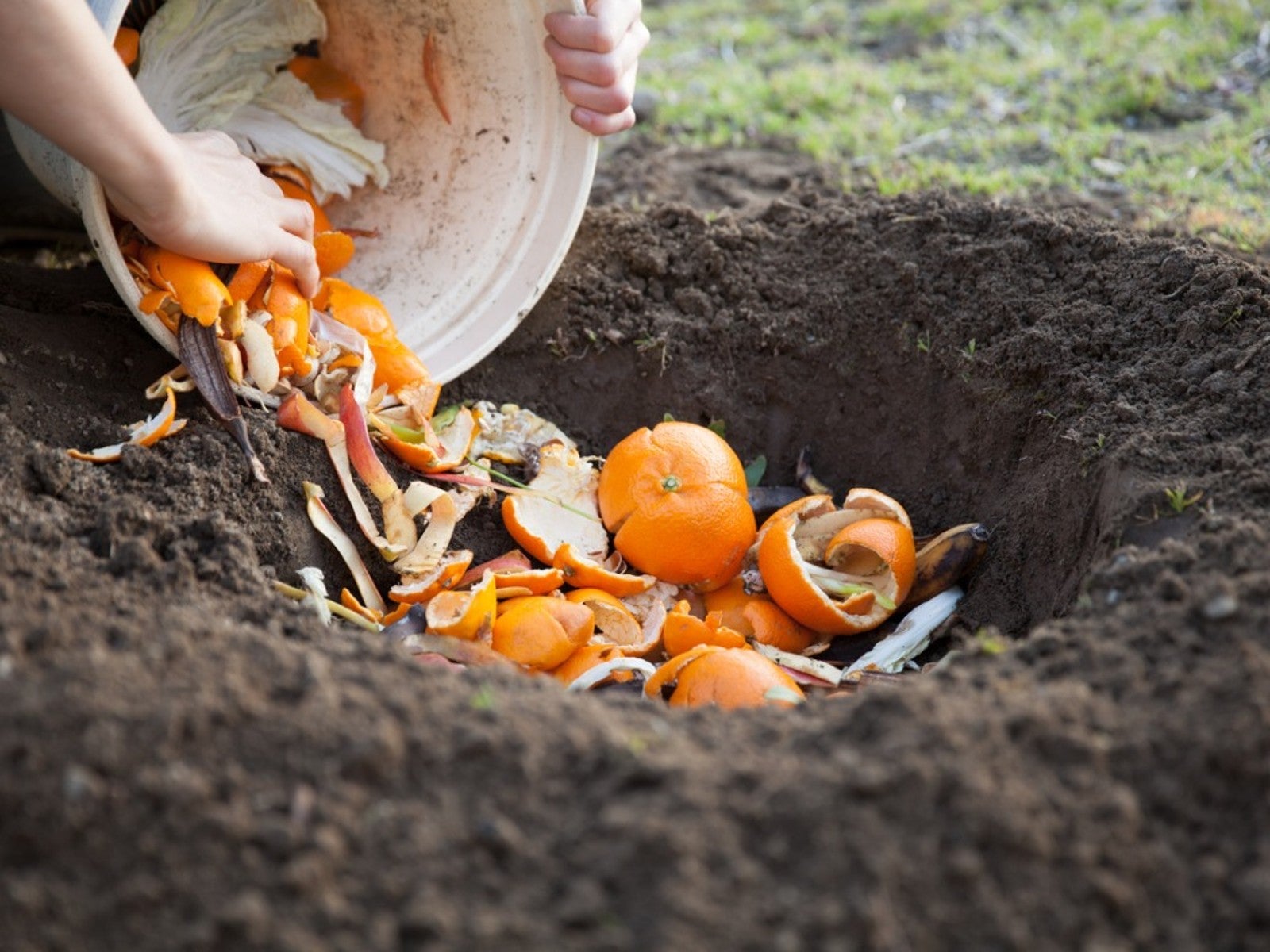 The Benefits of In-Ground Composting: A Sustainable Solution for Nutrient-rich Soil