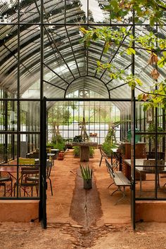 The Benefits of an Atrium Greenhouse: Creating a Natural Haven for Plant Lovers
