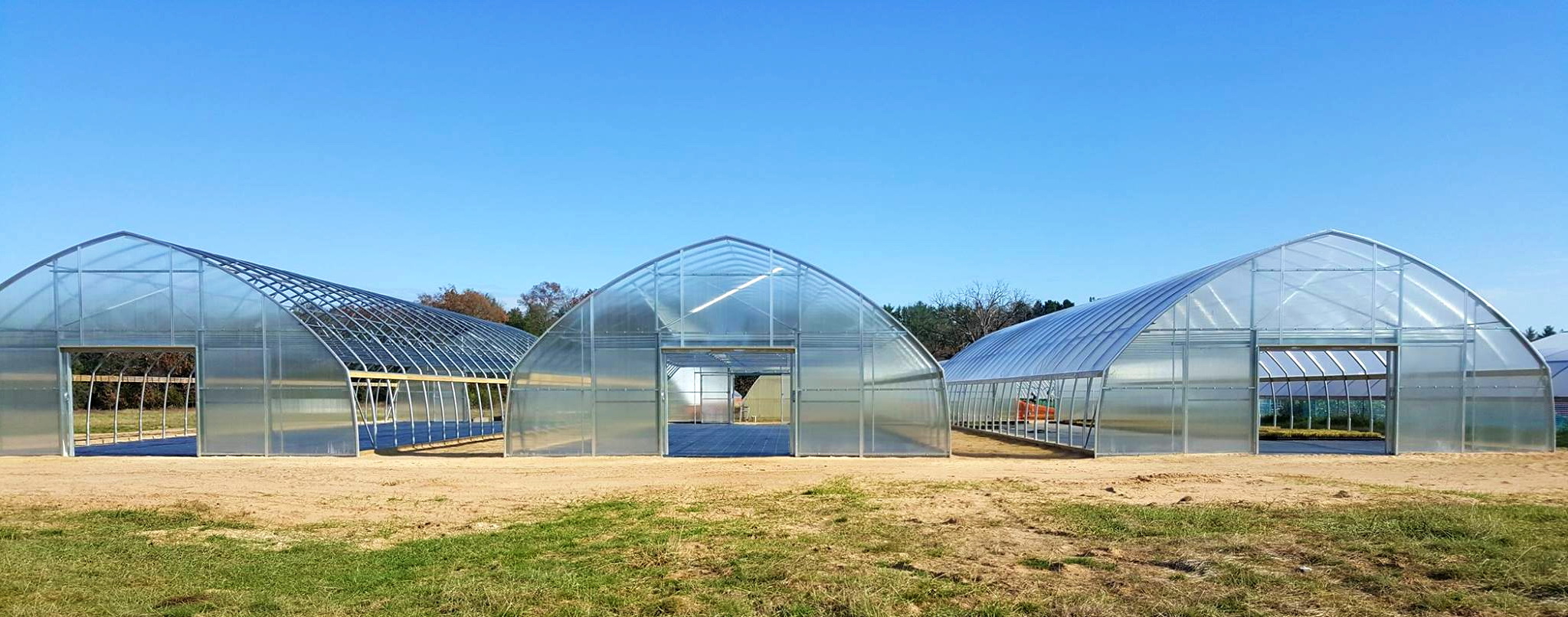 The Sustainable Oasis: Exploring the Benefits of Green House Nurseries