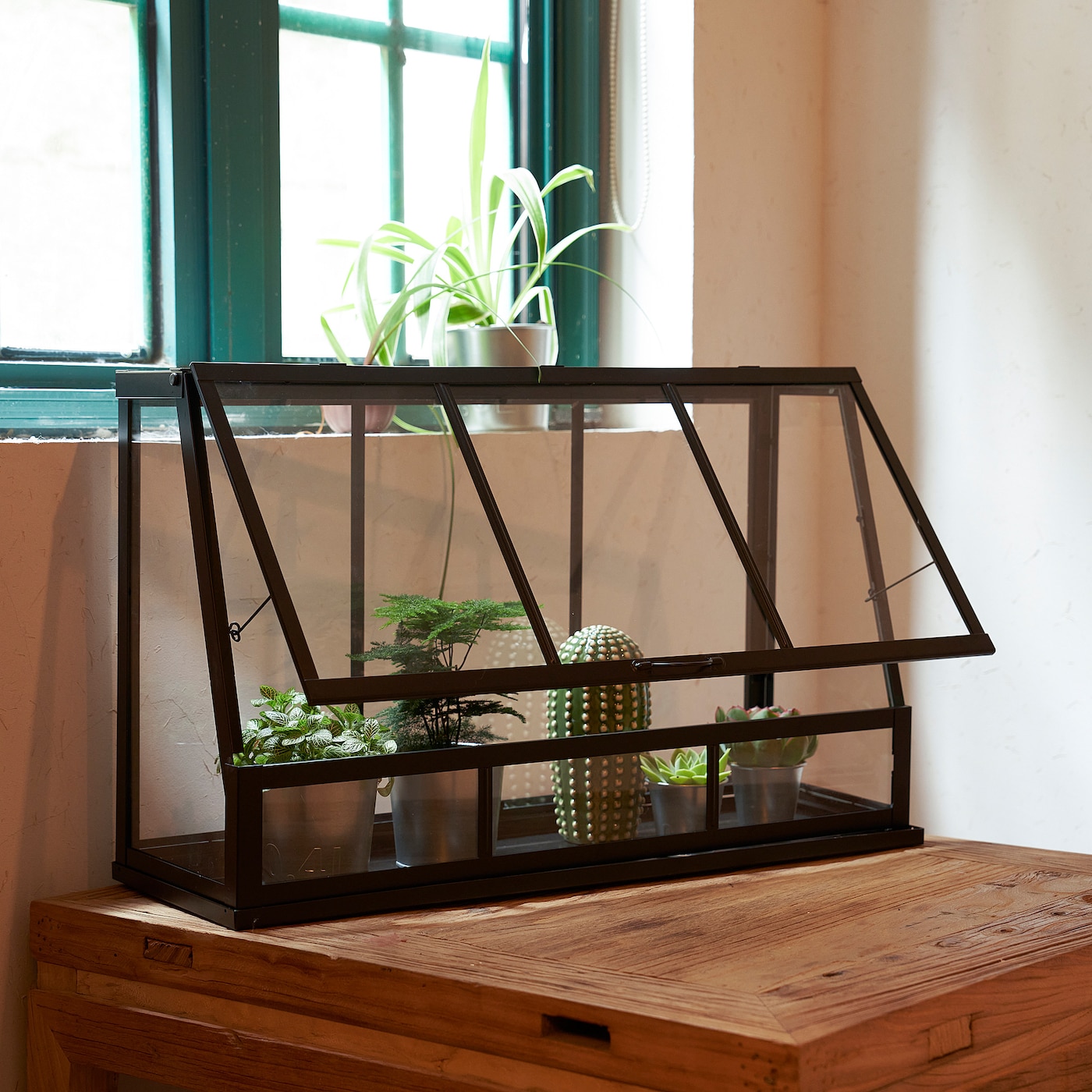 Creating a Lush and Sustainable Indoor Garden with IKEA's Greenhouse Collection