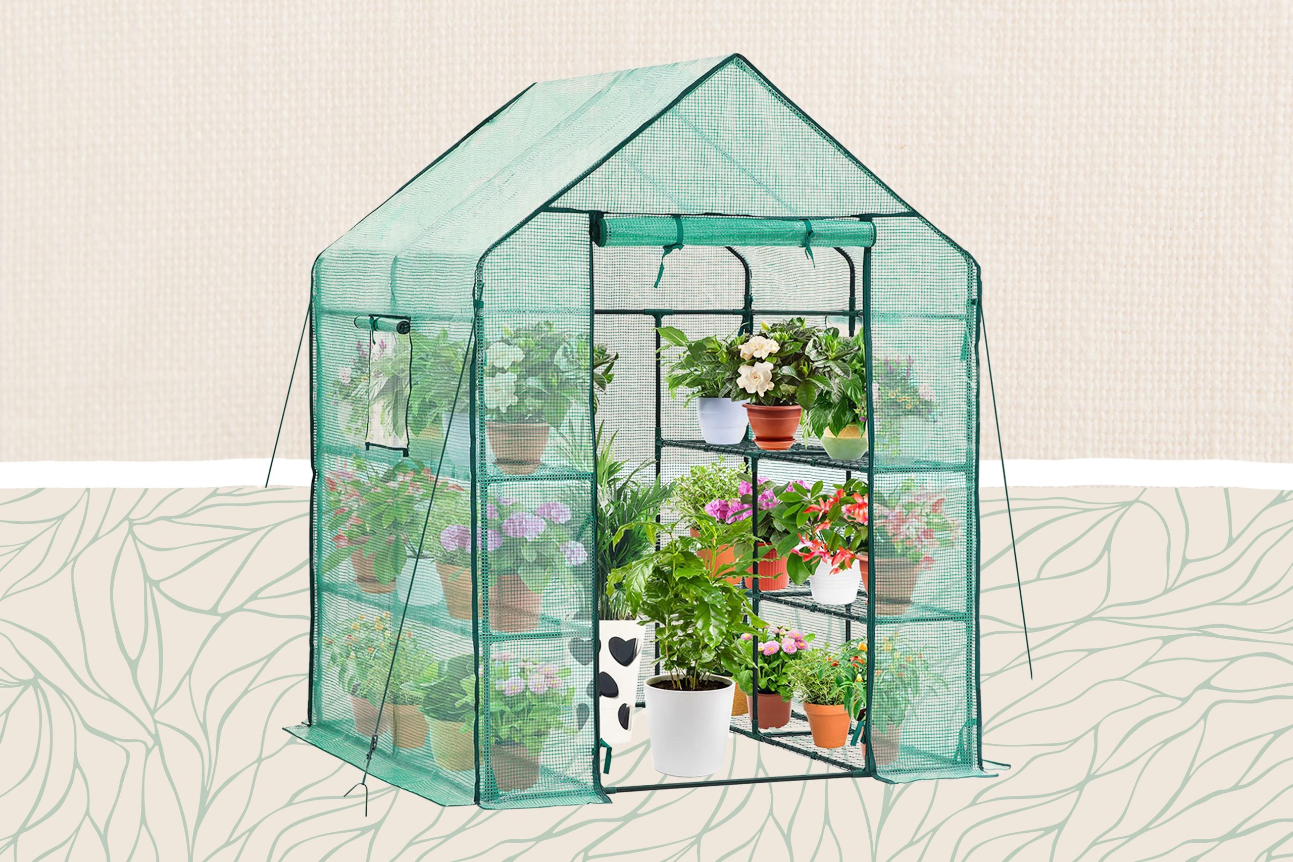 Exploring the Benefits of Amazon's Small Greenhouse for Hobby Gardeners