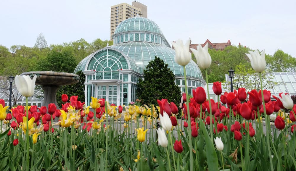 Exploring the Perfect Season to Experience Brooklyn Botanical Gardens