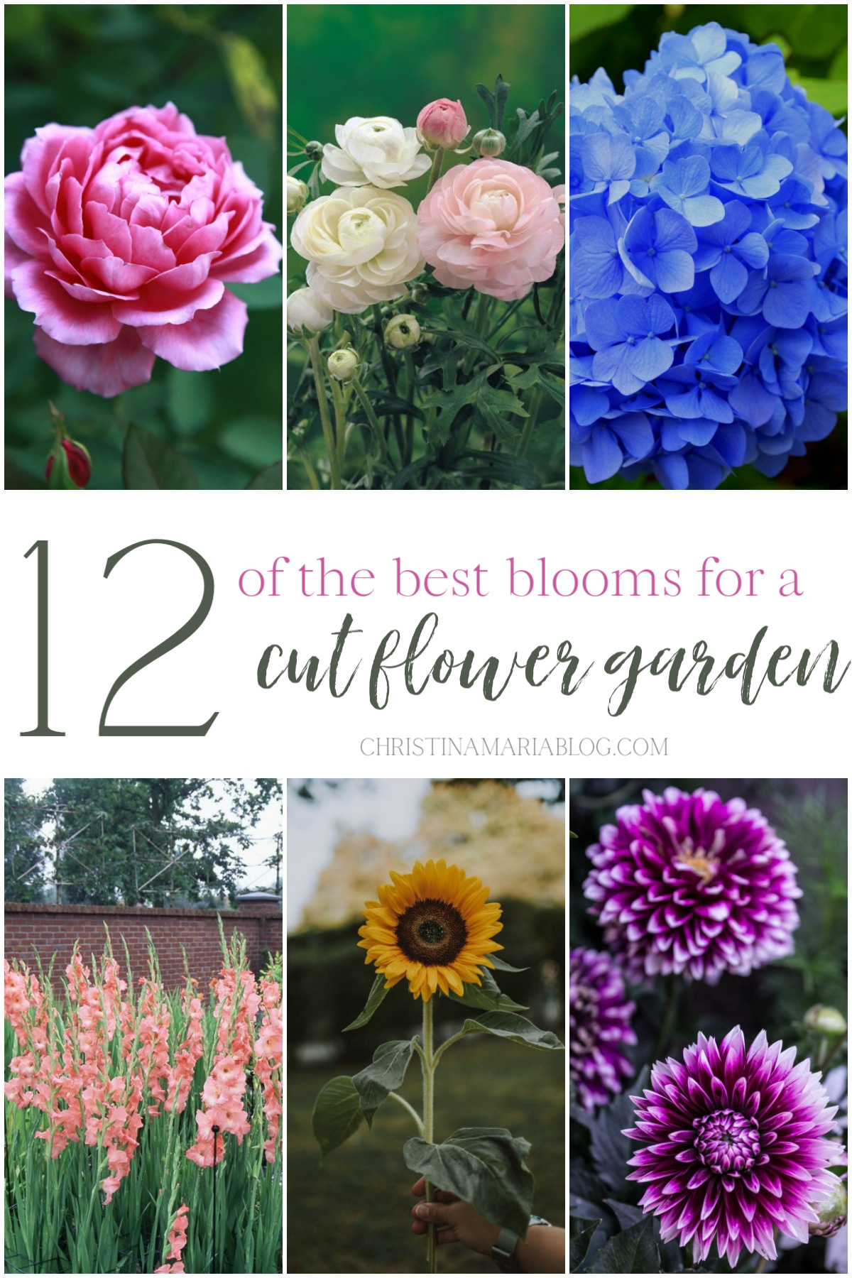 Creating Stunning Garden Floral Arrangements: A Guide to Beautify Your Outdoor Space