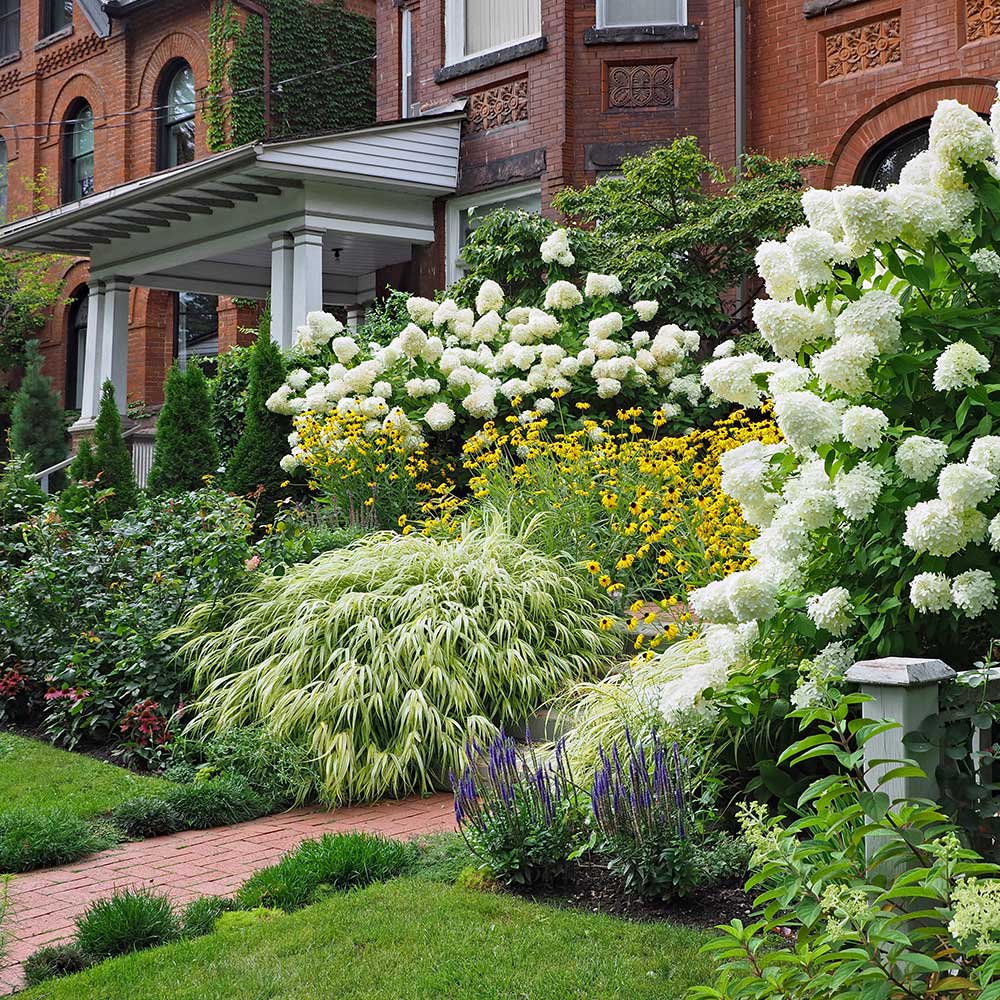 Exploring the Beauty of Green Shrubs for Your Landscaping Needs
