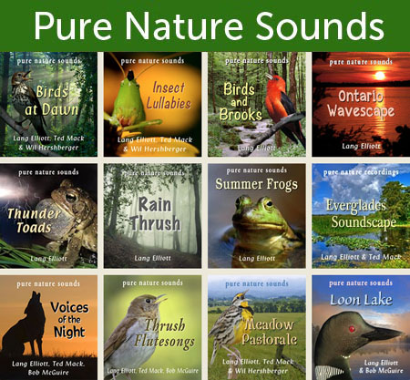 The Soothing Symphony of Nature: Exploring the Exquisite Examples of Nature Sounds