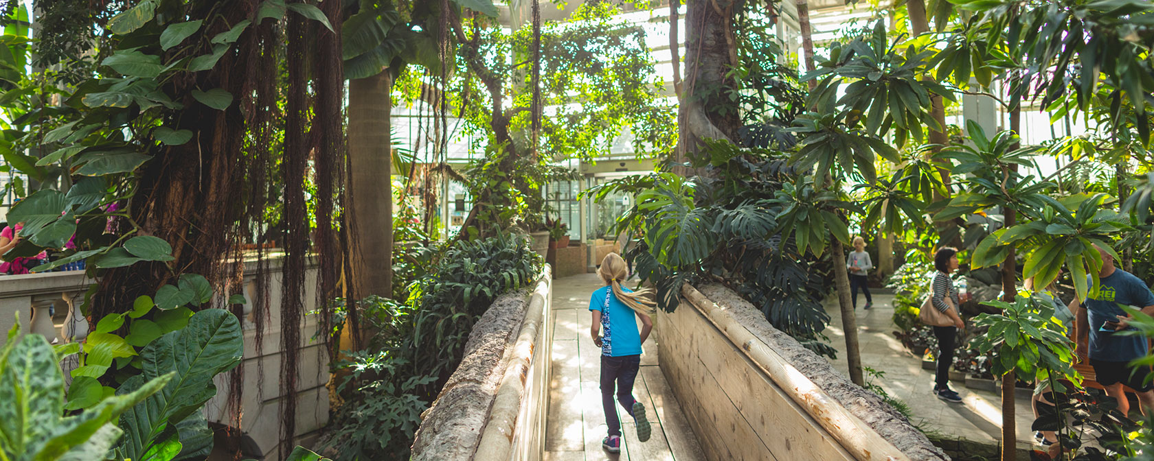 Do Botanic Gardens Close? Everything You Need to Know