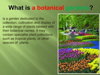 What Exactly Does a Botanical Garden Symbolize?
