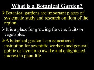 The Beauty and Value of Botanical Gardens: A Glimpse into Nature's Serene Oasis