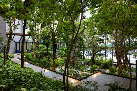 The Tranquil Beauty of a Green Oasis: A Serene Escape from Urban Life