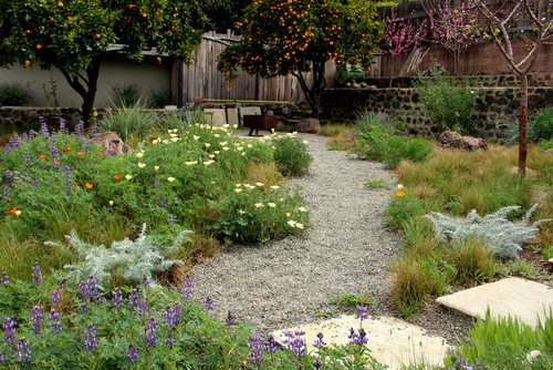 Step-by-Step Guide on Creating a Beautiful Natural Garden for a Sustainable Oasis