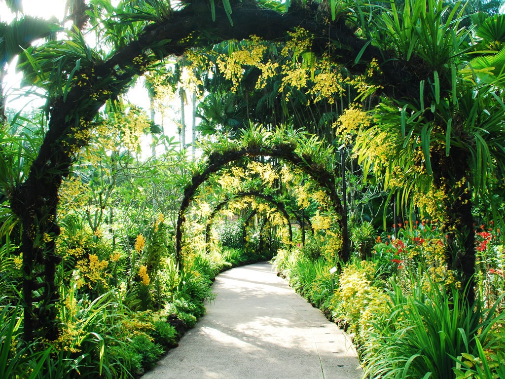 Exploring Botanic Garden Singapore: A Garden Oasis in the Heart of the City