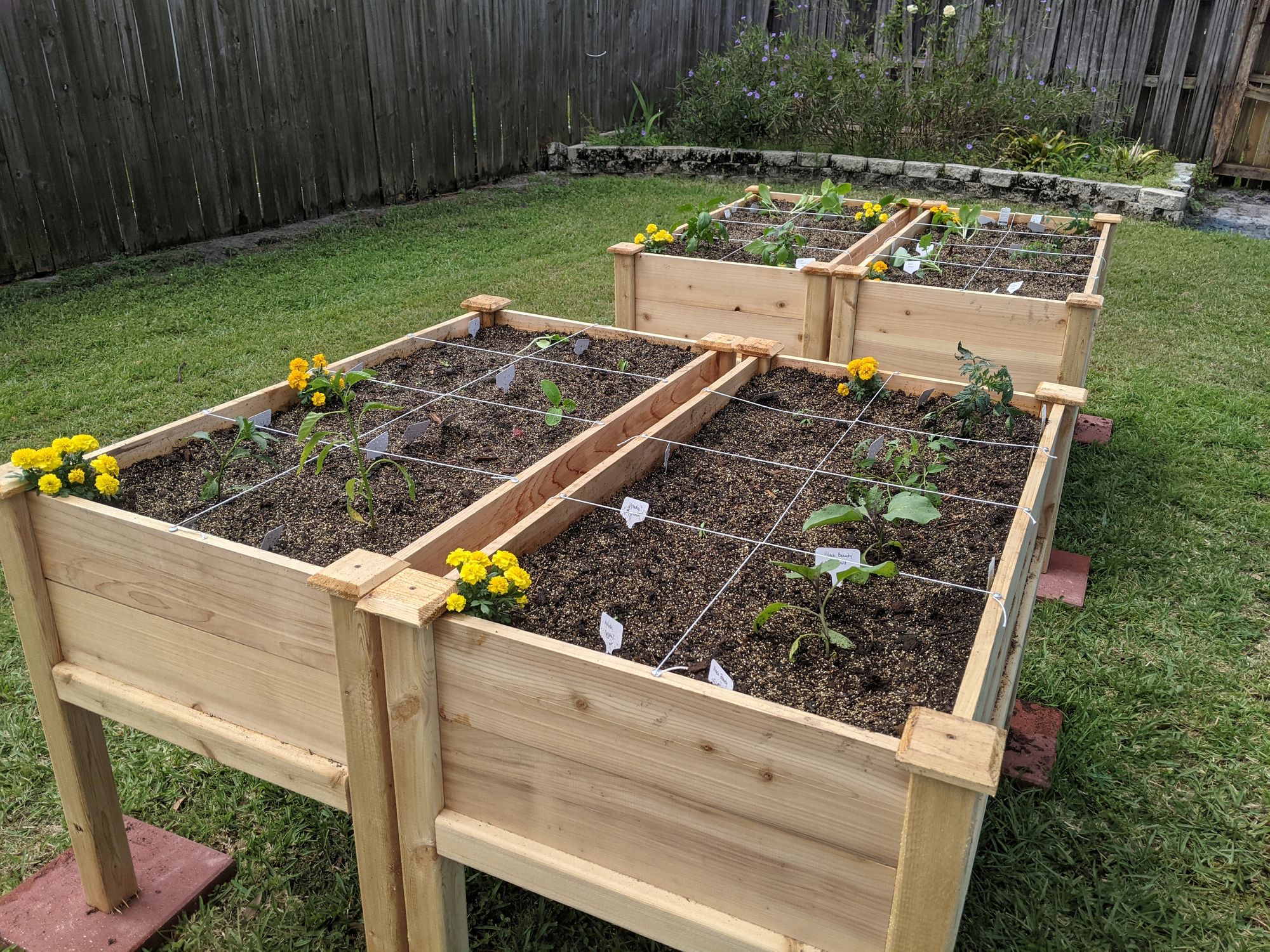 Empowering Your Garden: The Benefits of Above Ground Container Gardening