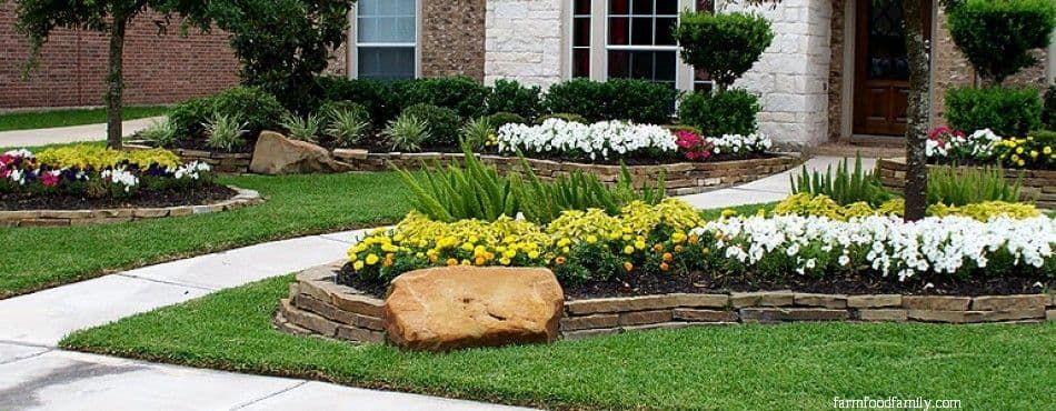 Gorgeous Flower Garden Ideas to Complement Your Texas Landscape