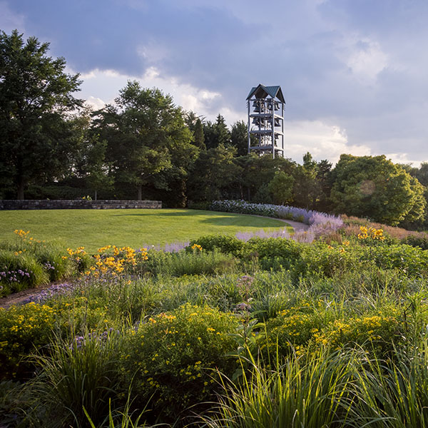 Unveiling the Hidden Gem: Exploring the Free Serenity of Botanic Gardens