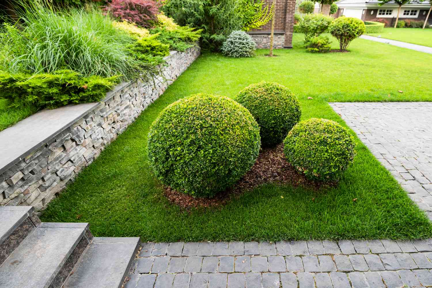The Aesthetic Appeal of Green Shrubs: Enhancing the Beauty of Your Garden