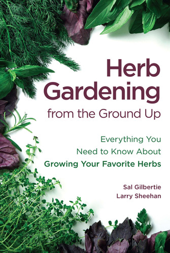 Beginner's Guide to Starting a Garden from Scratch: Tips and Advice for Ground Up Gardening